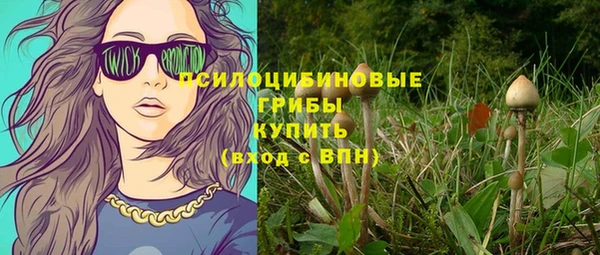 PSILOCYBIN Белокуриха