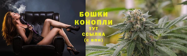 индика Богородицк