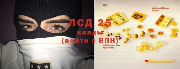индика Богородицк
