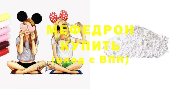 индика Богородицк