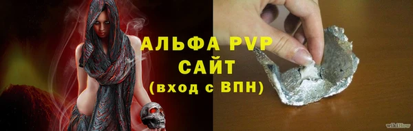 PSILOCYBIN Белокуриха
