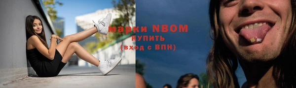 индика Богородицк