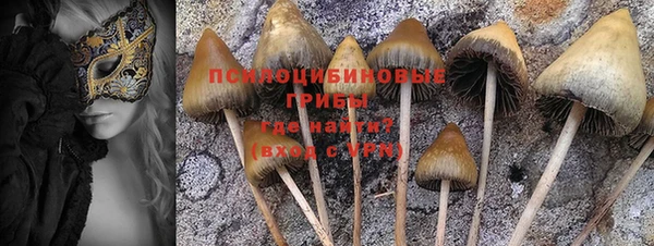 гидропоника Богданович