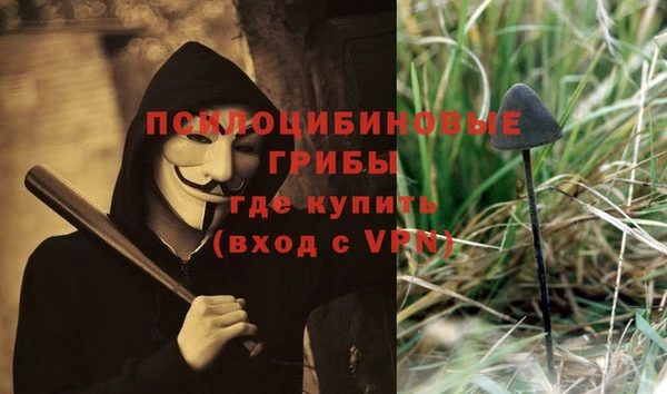 индика Богородицк