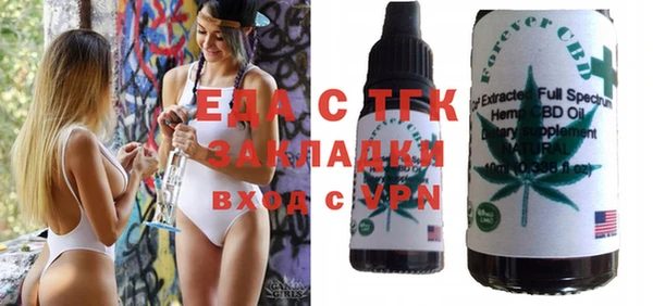 индика Богородицк