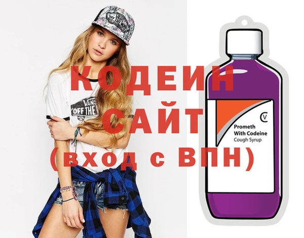 индика Богородицк