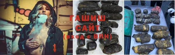 индика Богородицк