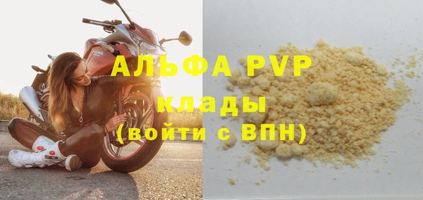 PSILOCYBIN Белокуриха