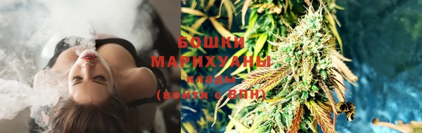индика Богородицк